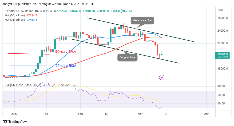 BTCUSD_2023-03-11_07-31-57