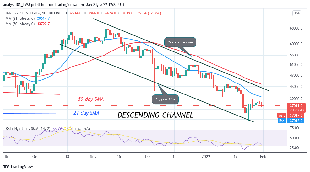 BTCUSD_Daily-Chart-JAN.-31-1