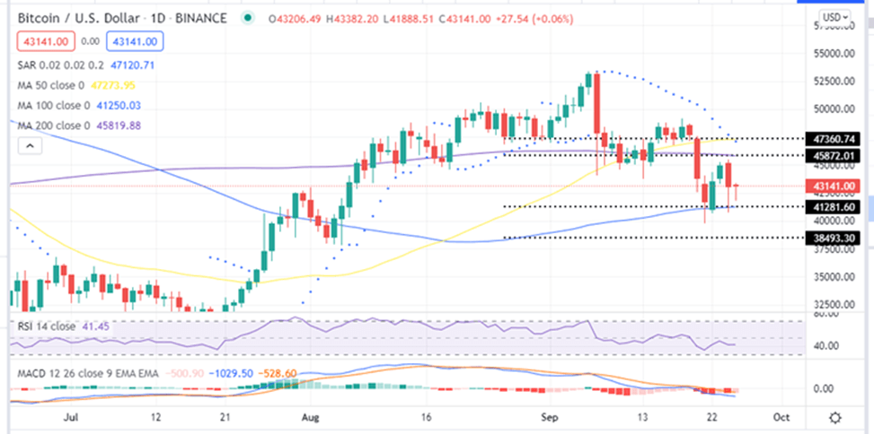 Bitcoin-Price-Daily-Chart-September-25