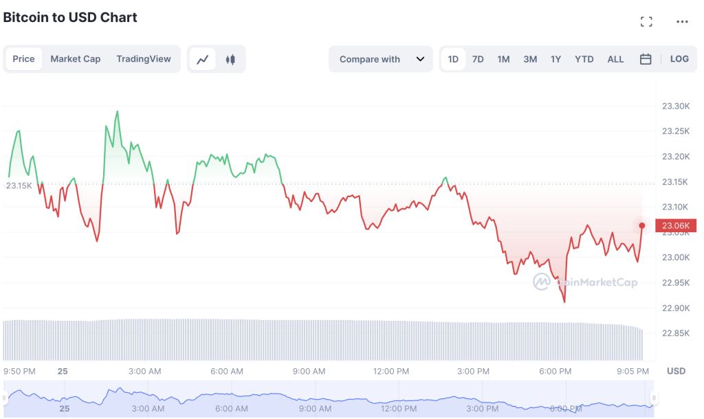 Bitcoin-Price-Pulls-Back-To-23100-1024x610-1