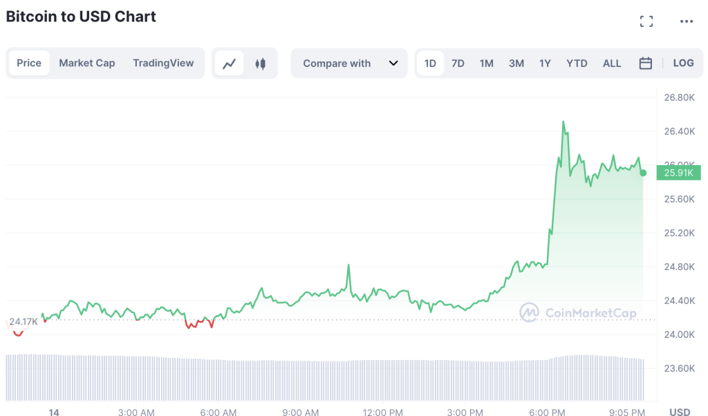 Bitcoin-Price-Soars-To-25300-1024x602-1