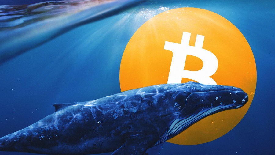Bitcoin-WHale