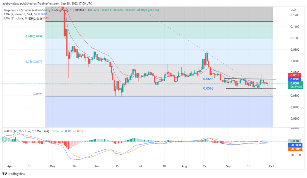 DOGEUSD_2022-09-28_10-00-36