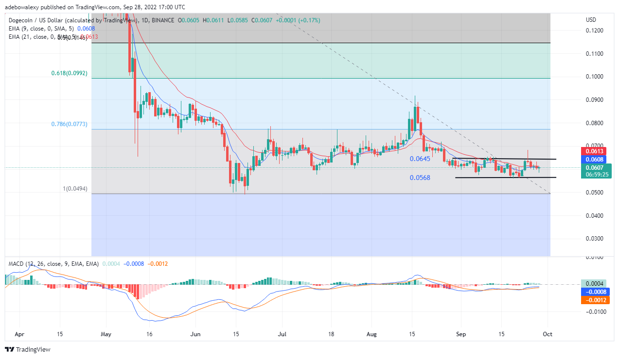 DOGEUSD_2022-09-28_10-00-36