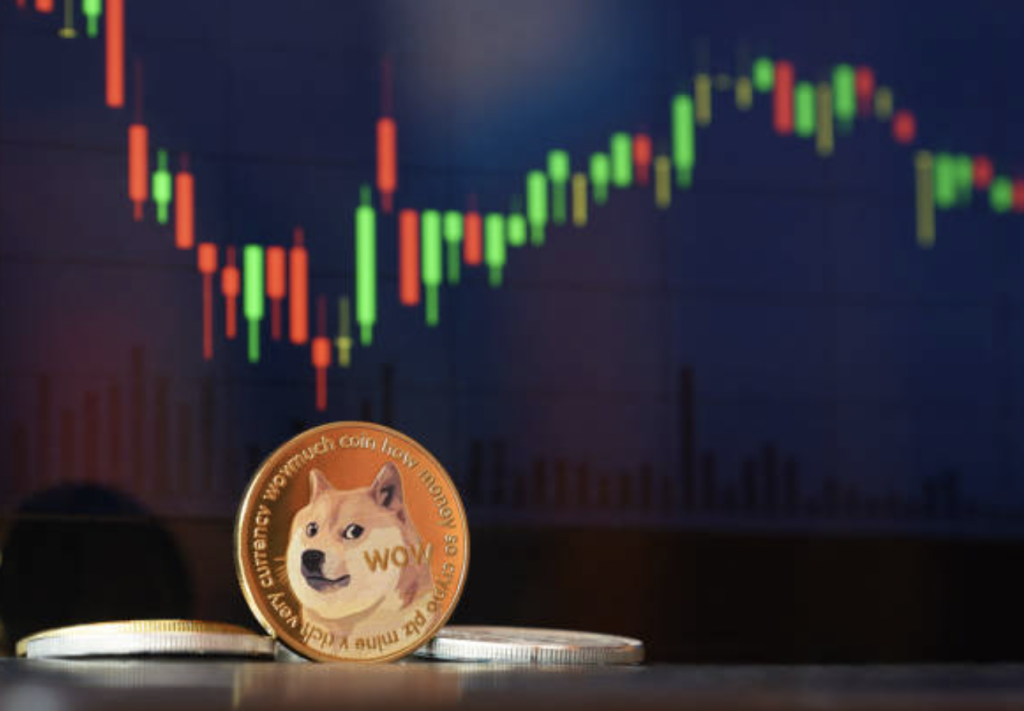 Doge-Price-Increase-Due-to-Elon-Musk-1024x711-1