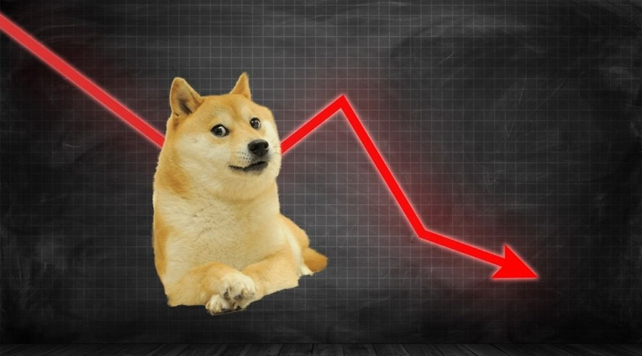 Dogecoin-Falls-to-0.11-but-These-3-Coins-Will-100x-By-2023-2
