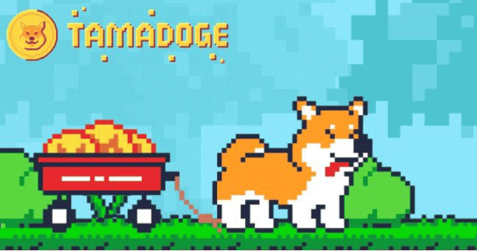 Gaming-phenomenon-Tamadoge-associates-with-the-influential-crypto-meme-Spongebob-on-the-verge-of-the-Tamadoge-Mobile-App-launch-1-2