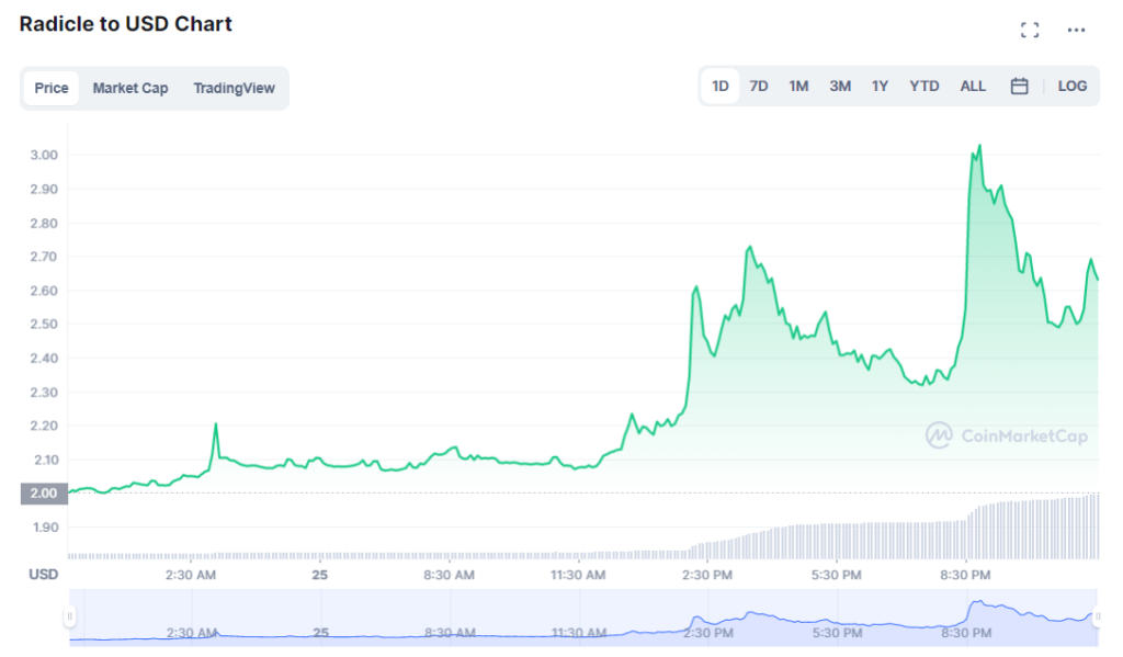 Is-Radicle-worth-buying