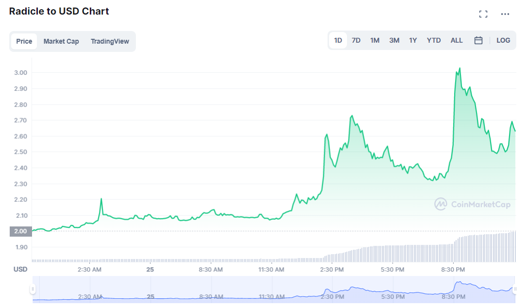 Is-Radicle-worth-buying