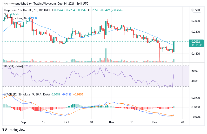 Roundup-Doge