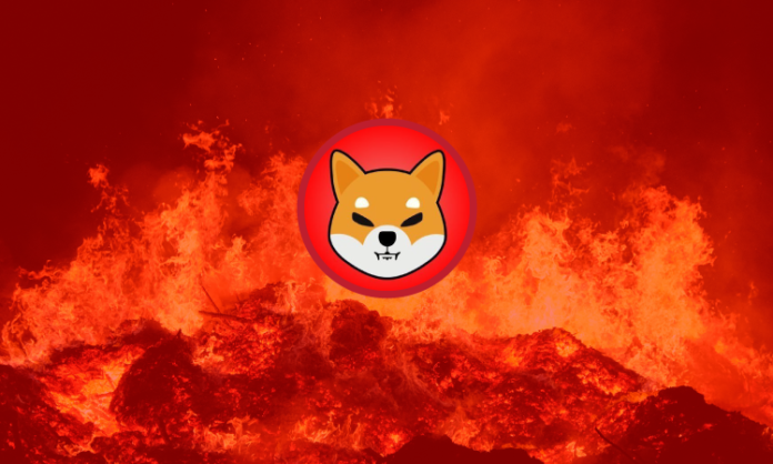 SHIB-burn