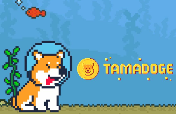 Tamadoge-7