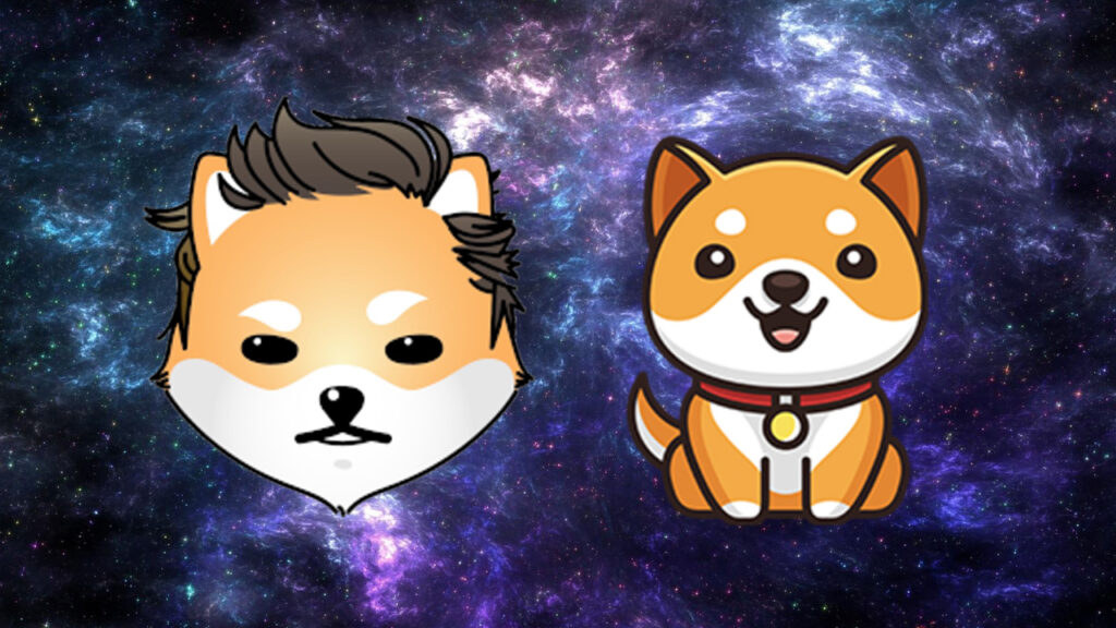 as-doge-shib-markets-fall-back-baby-doge-coin-and-dogelon-mars-prices-skyrocket