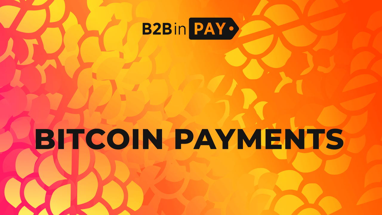 b2bpay