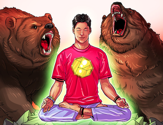 bearfight