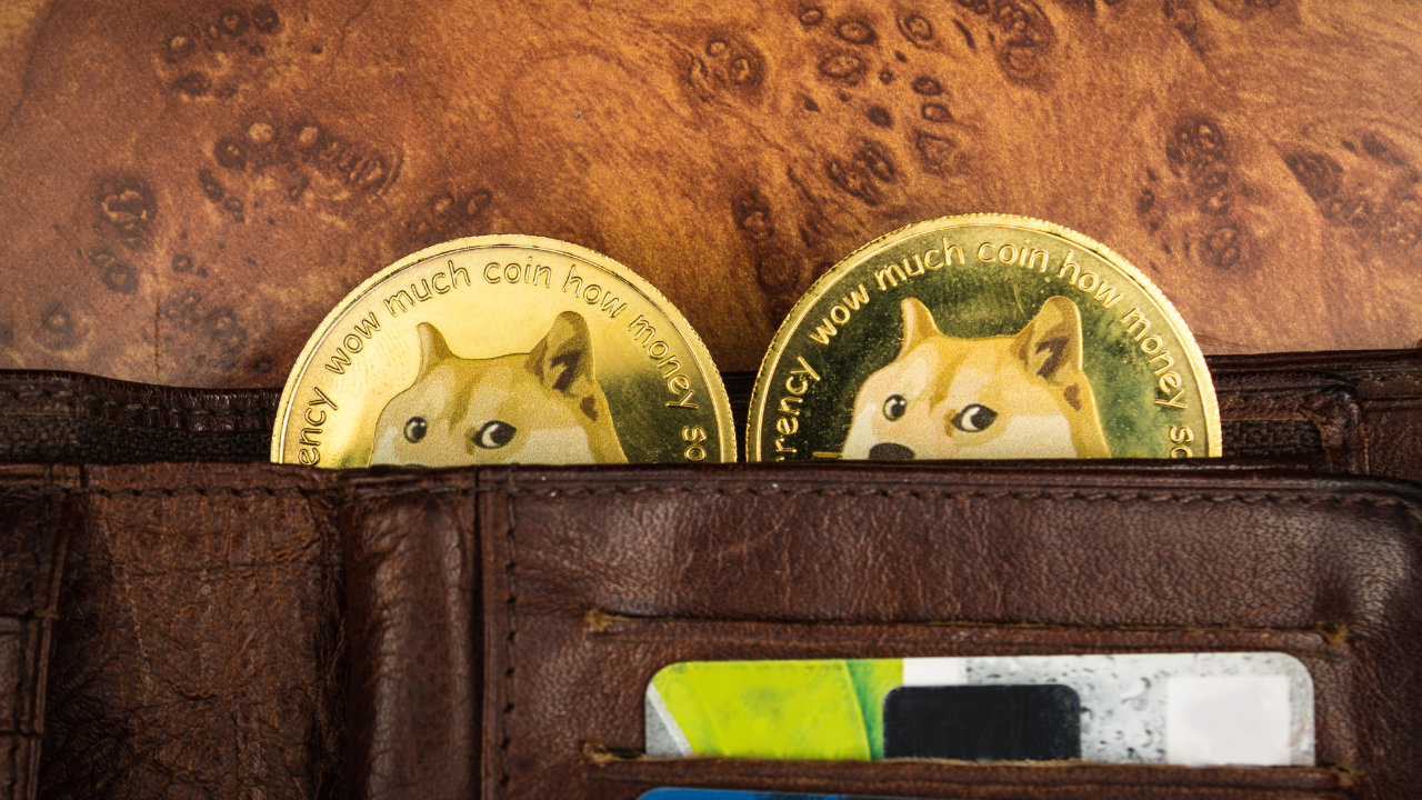 binance-doge