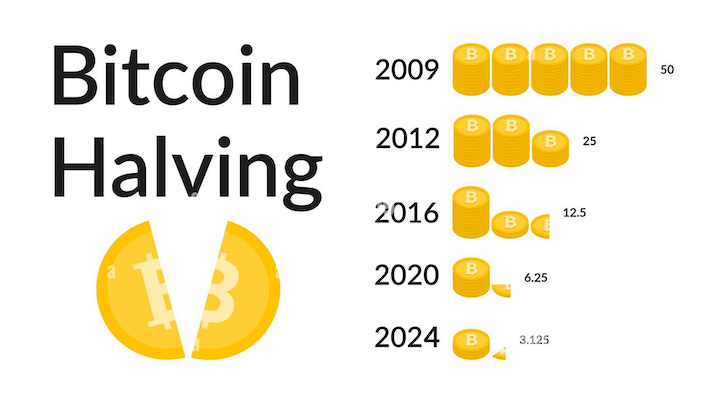 bitcoin-halving-2024-vector-illustation-2GB6NG0