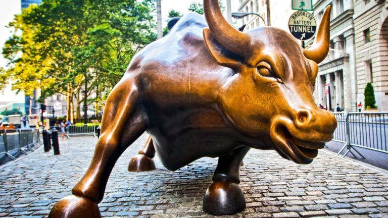 bull-768x432-1