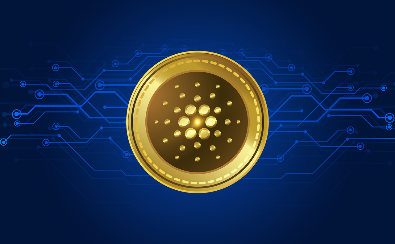 cardano_Easy-Resize.com_