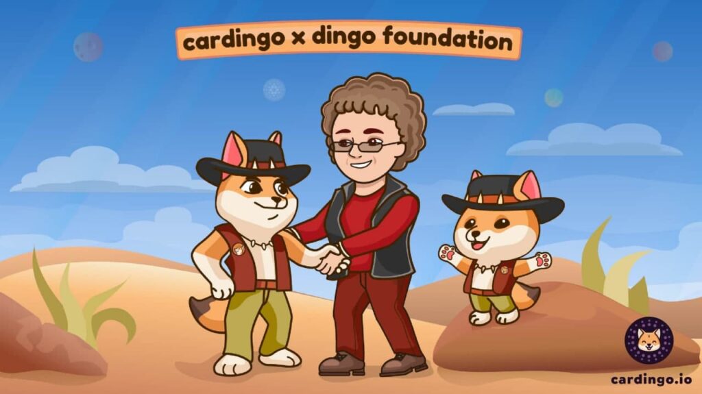 cardingo-