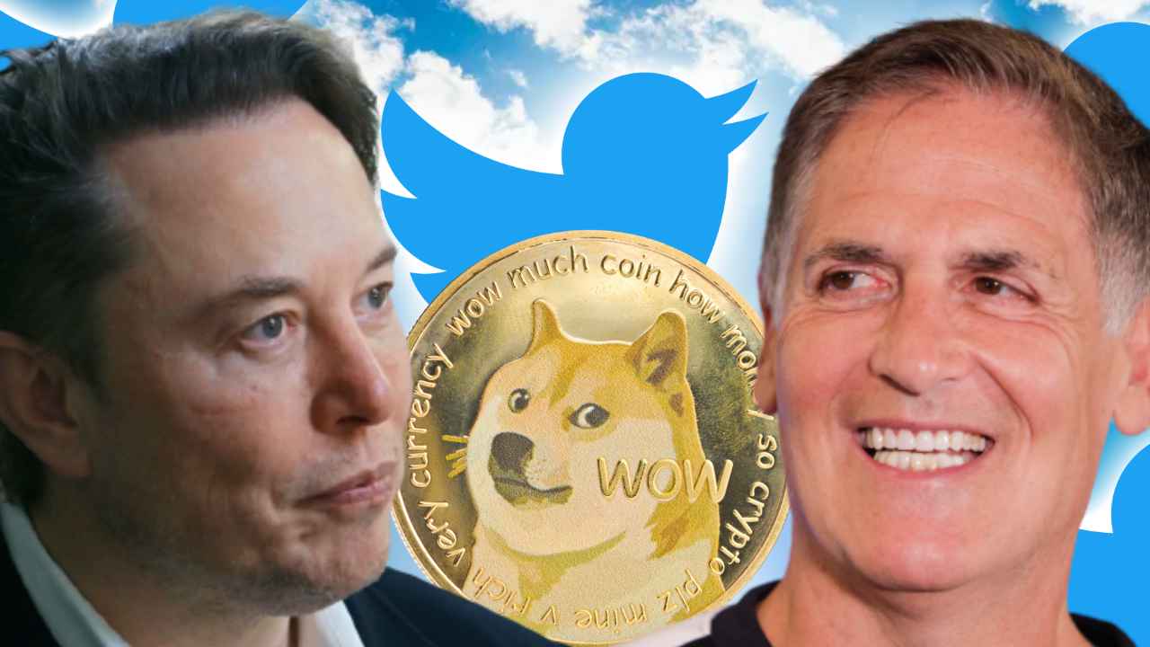 cuban-musk-doge
