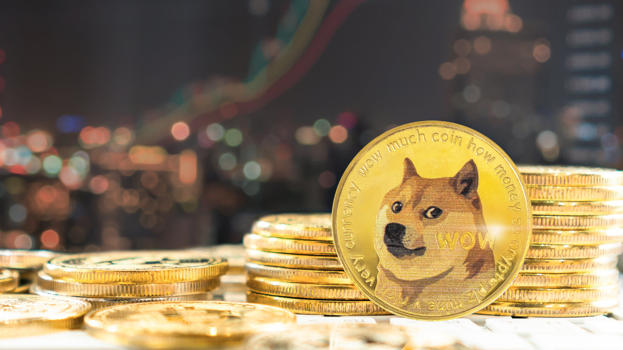 doge-1-1