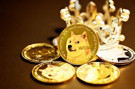 dogechain-small1-x300_1px