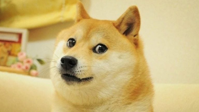 dogememeeees-768x432-1