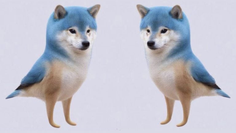 dogetweets-768x432-1