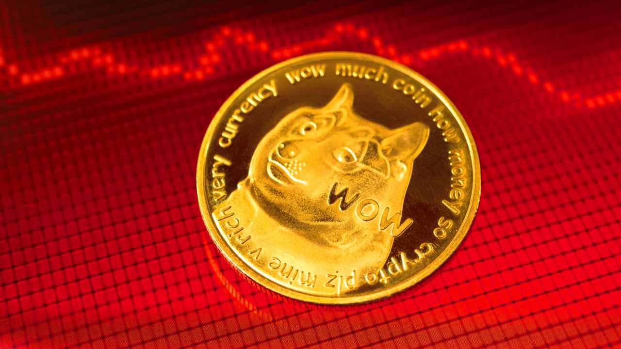 finder-dogecoin