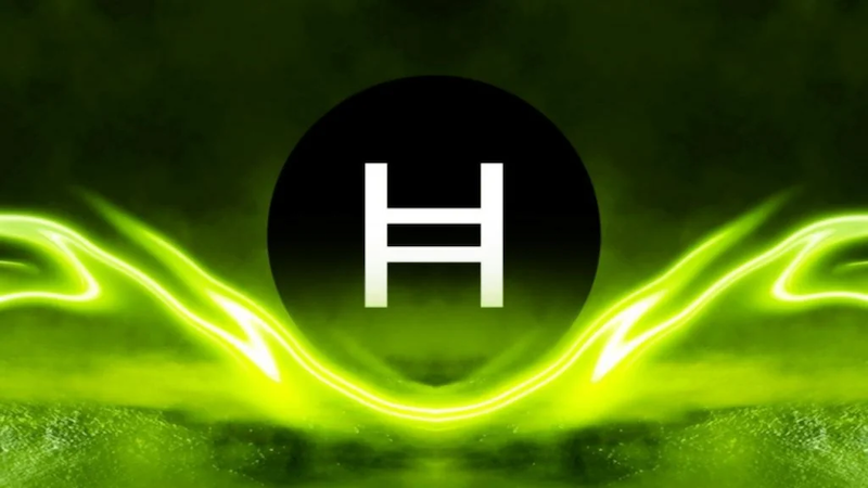 hedera