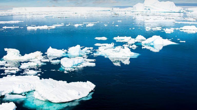 icebergs-768x432-1