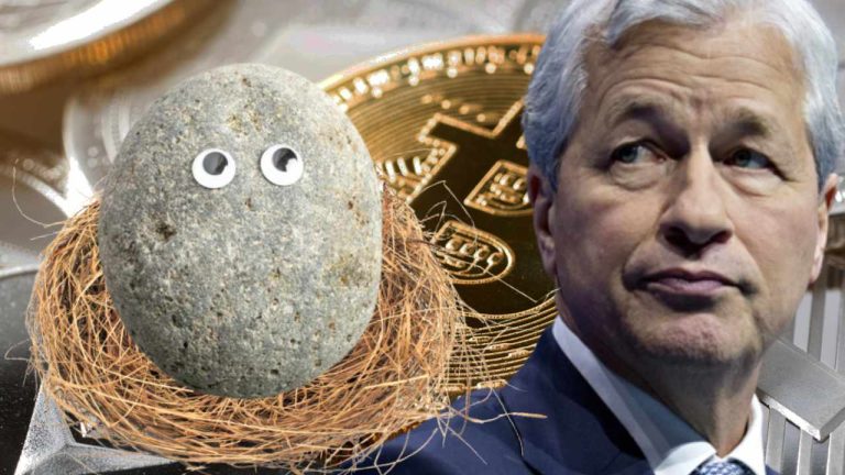 jamie-dimon-pet-rocks1-768x432-1