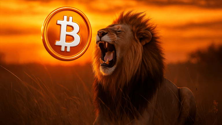lionorange-768x432-1