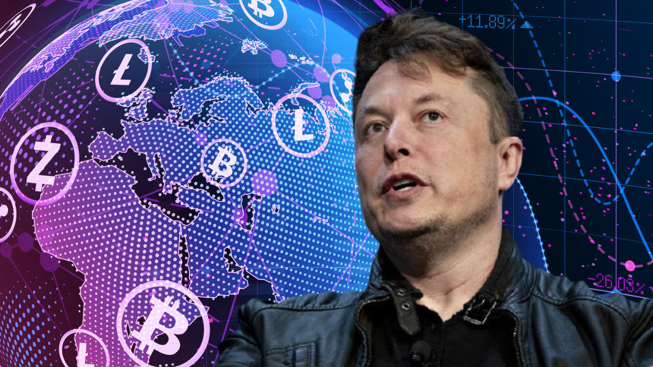 musk1