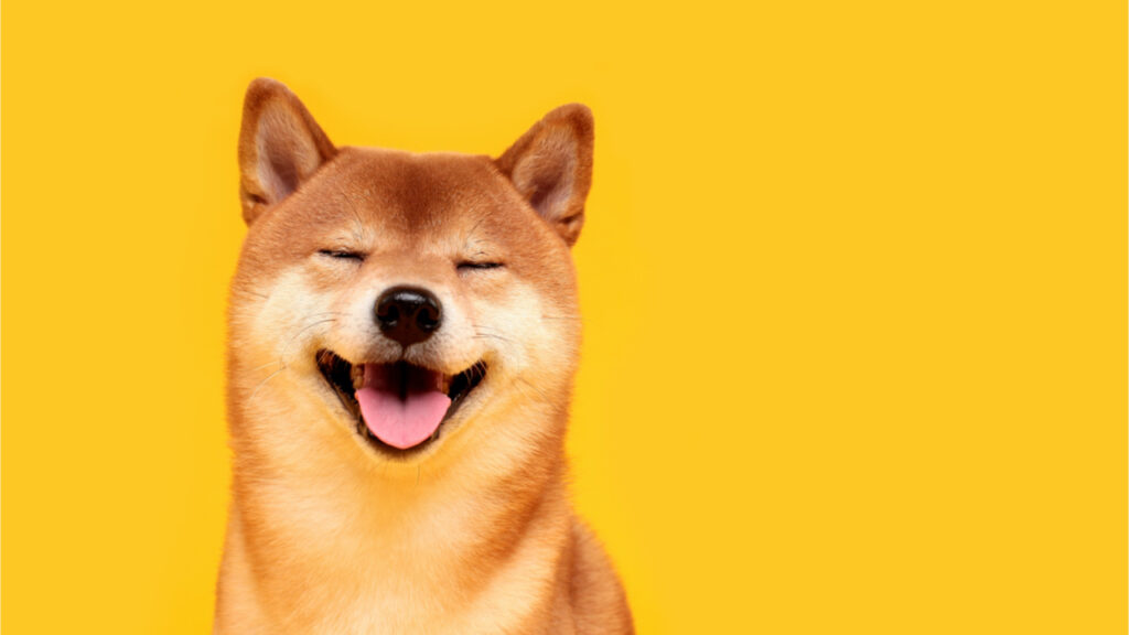 shiba-inu-soars-knocking-dogecoin-down-a-notch-20-holders-own-75-of-the-shib-supply