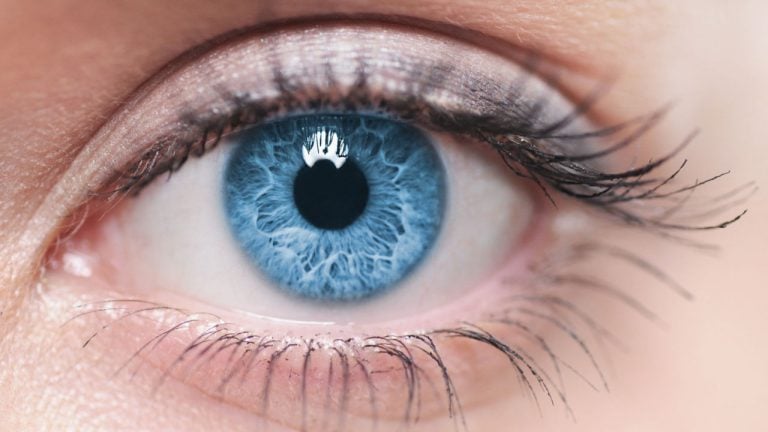 shutterstock_128857243-768x432-1
