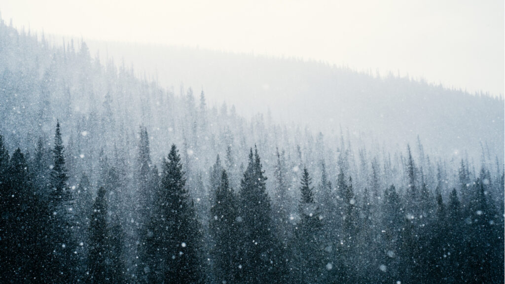 shutterstock_1630226824