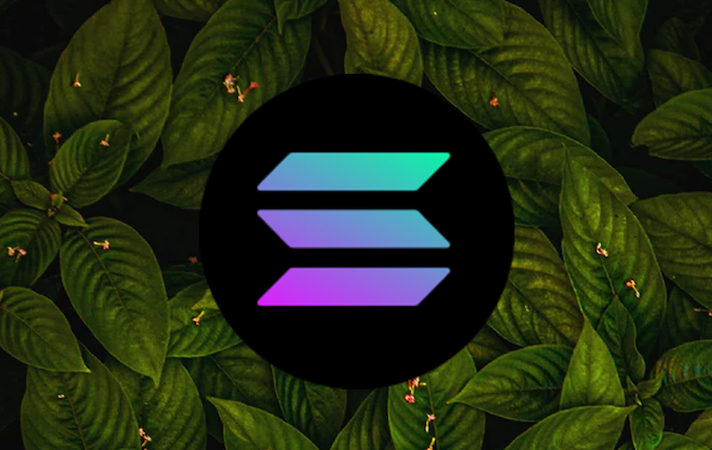 solana_green